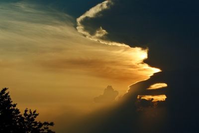 Low angle view of silhouette trees against sky at sunset