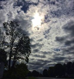 Low angle view of silhouette trees against sky