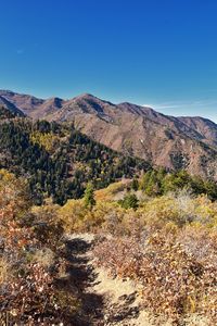 Scenic view of landscape against clear blue sky