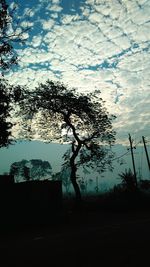 Silhouette trees against sky