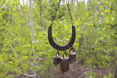 Close-up of rusty chain hanging on plant
