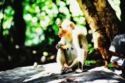 View of fresh eating food