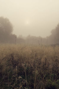 Scenic view of field against cloudy sky