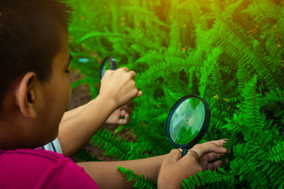 Close-up of boy holding magnifying glass over fern