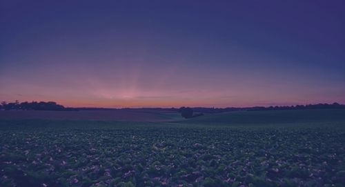 Scenic view of field against sky during sunset