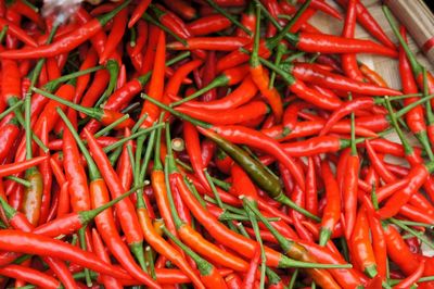 Close-up of red chilies