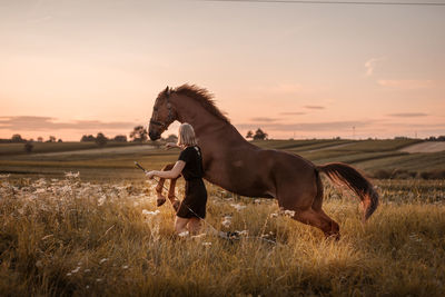 Horse cart on field against sky during sunset