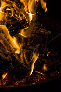 Close-up of bonfire at night