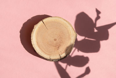 Woodcut lying on trendy background with fern shadows. wooden platform with shades for cosmetics