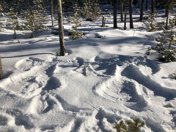 Snow on field during winter