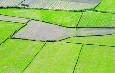 Full frame shot of farm