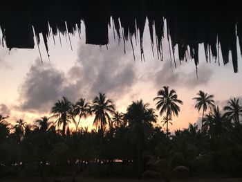 Low angle view of silhouette palm trees against sky during sunset