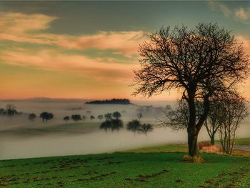 Scenic view of landscape against cloudy sky