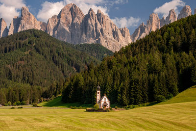 Panoramic view of trees on landscape against sky