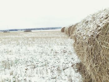 Scenic view of field against clear sky during winter