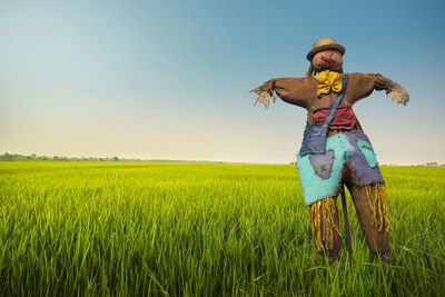 Scarecrow in the rice field with beauty sky suphanburi thailand
