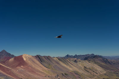 Bird flying over mountain range against clear blue sky