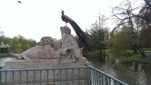 Low angle view of statue against trees