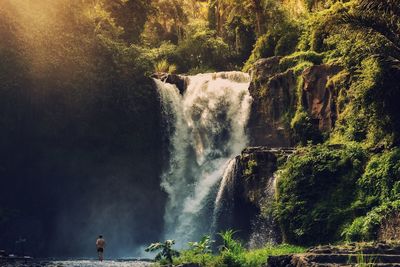 Rear view of shirtless man standing against waterfall in forest