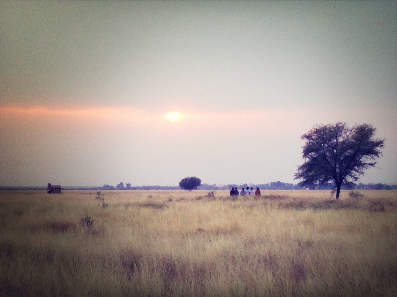 sunset, sky, tranquil scene, field, landscape, tranquility, scenics, beauty in nature, grass, nature, sun, tree, transportation, idyllic, rural scene, cloud - sky, outdoors, horizon over water, orange color