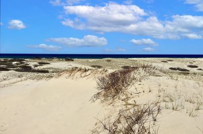 Big dune at the cape cod national seashore