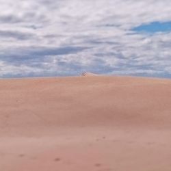 Scenic view of landscape against cloudy sky