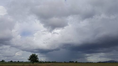 Panoramic shot of trees on field against cloudy sky