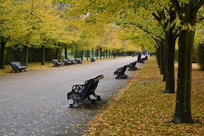 Bicycles in park during autumn