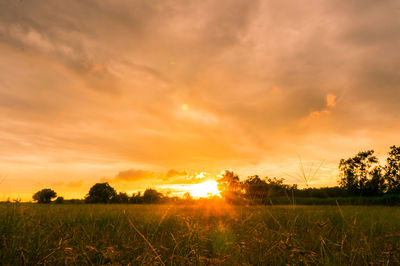 Scenic view of field against sky during sunset