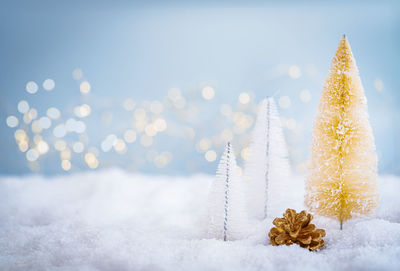 Close-up of christmas tree