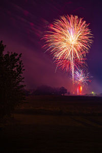 Low angle view of firework display at night