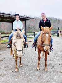 Portrait of horse riding horses