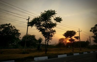 Silhouette trees by electricity pylon against sky during sunset