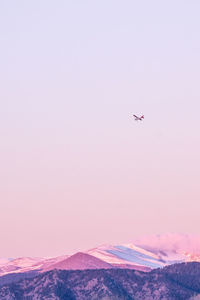 Low angle view of airplane flying in sky