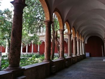 View of columns