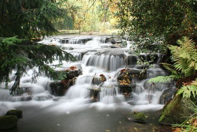 View of waterfall in forest