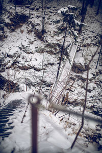 High angle view of snow covered plants on field