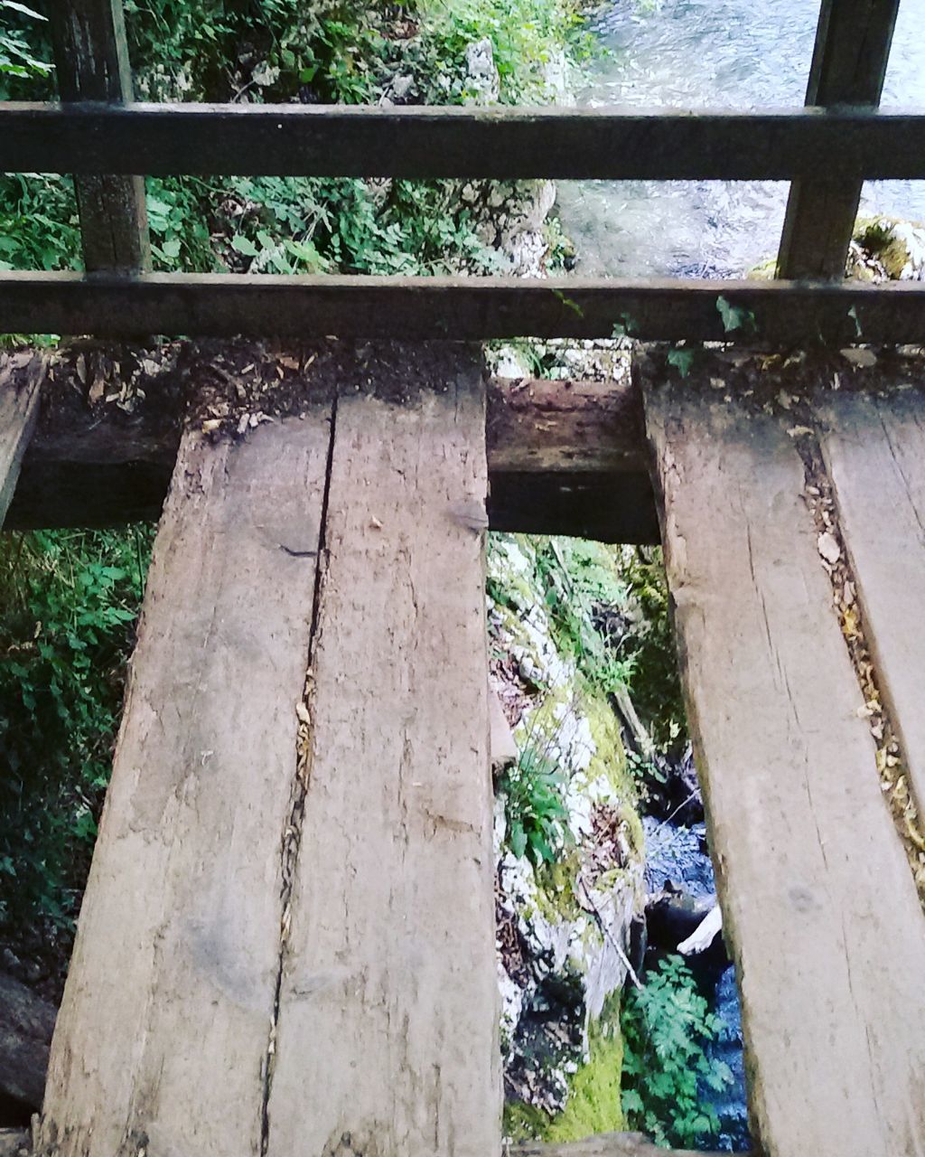 day, wood - material, no people, outdoors, nature, close-up