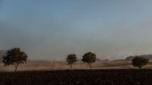 Trees on field against sky