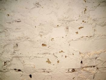 Close-up of weathered wall