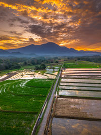 landscape