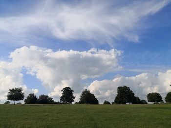 Trees on field against sky