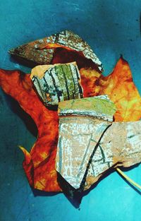 Close-up of autumn leaf