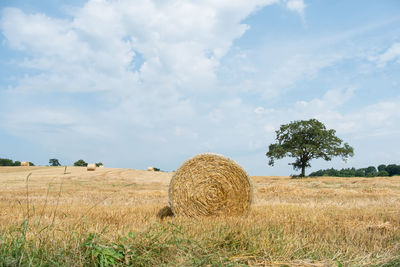 Scenic view of hay bale in field against cloudy sky