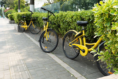 Bicycle parked on footpath in city