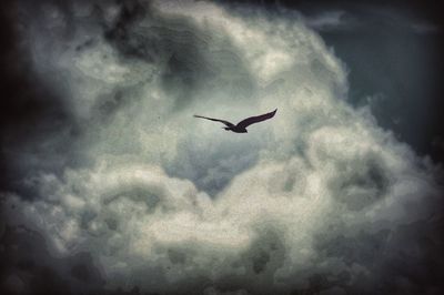 Low angle view of seagull flying in sky