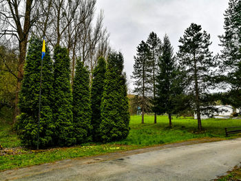 Road by trees against sky