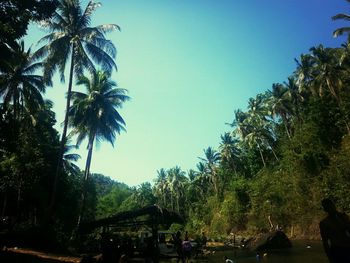 Scenic view of trees against blue sky