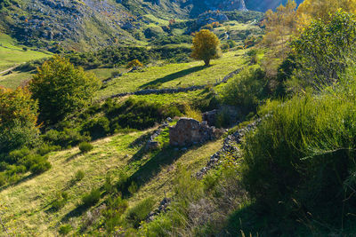 Landscape of the somiedo natural park in asturias. spain 