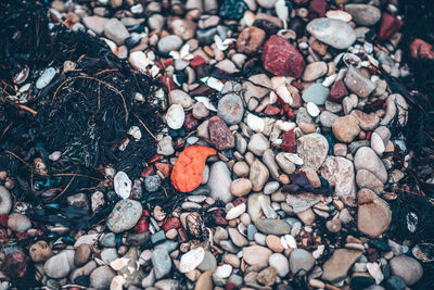 High angle view of stones on field